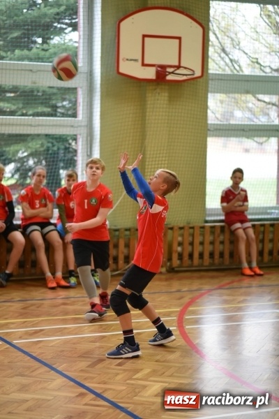 Zdjęcie w galerii na portalu naszraciborz.pl: Mistrzostwa Raciborza w dwójkach siatkarskich chłopców w SP18 wiadomości z regionu