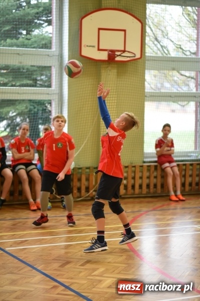 Zdjęcie w galerii na portalu naszraciborz.pl: Mistrzostwa Raciborza w dwójkach siatkarskich chłopców w SP18 wiadomości z regionu