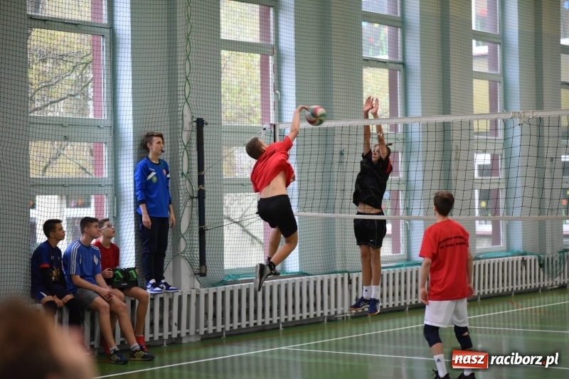 Zdjęcie w galerii na portalu naszraciborz.pl: Mistrzostwa Raciborza w dwójkach siatkarskich chłopców w SP18 wiadomości z regionu