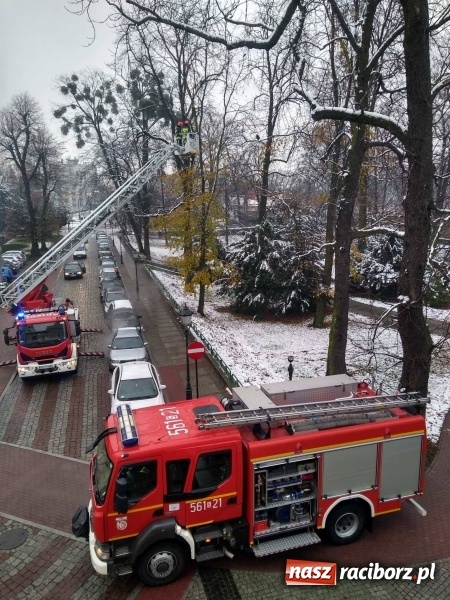 Zdjęcie w galerii na portalu naszraciborz.pl: Strażacy uratowali przy zamku... wronę FOTO wiadomości z regionu