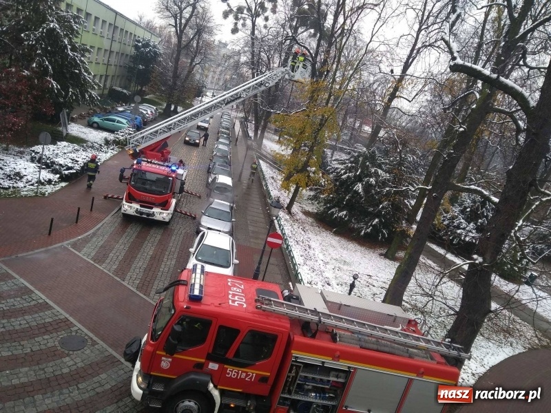 Zdjęcie w galerii na portalu naszraciborz.pl: Strażacy uratowali przy zamku... wronę FOTO wiadomości z regionu