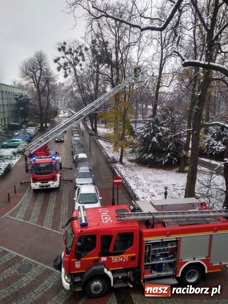 Zdjęcie w galerii na portalu naszraciborz.pl: Strażacy uratowali przy zamku... wronę FOTO wiadomości z regionu