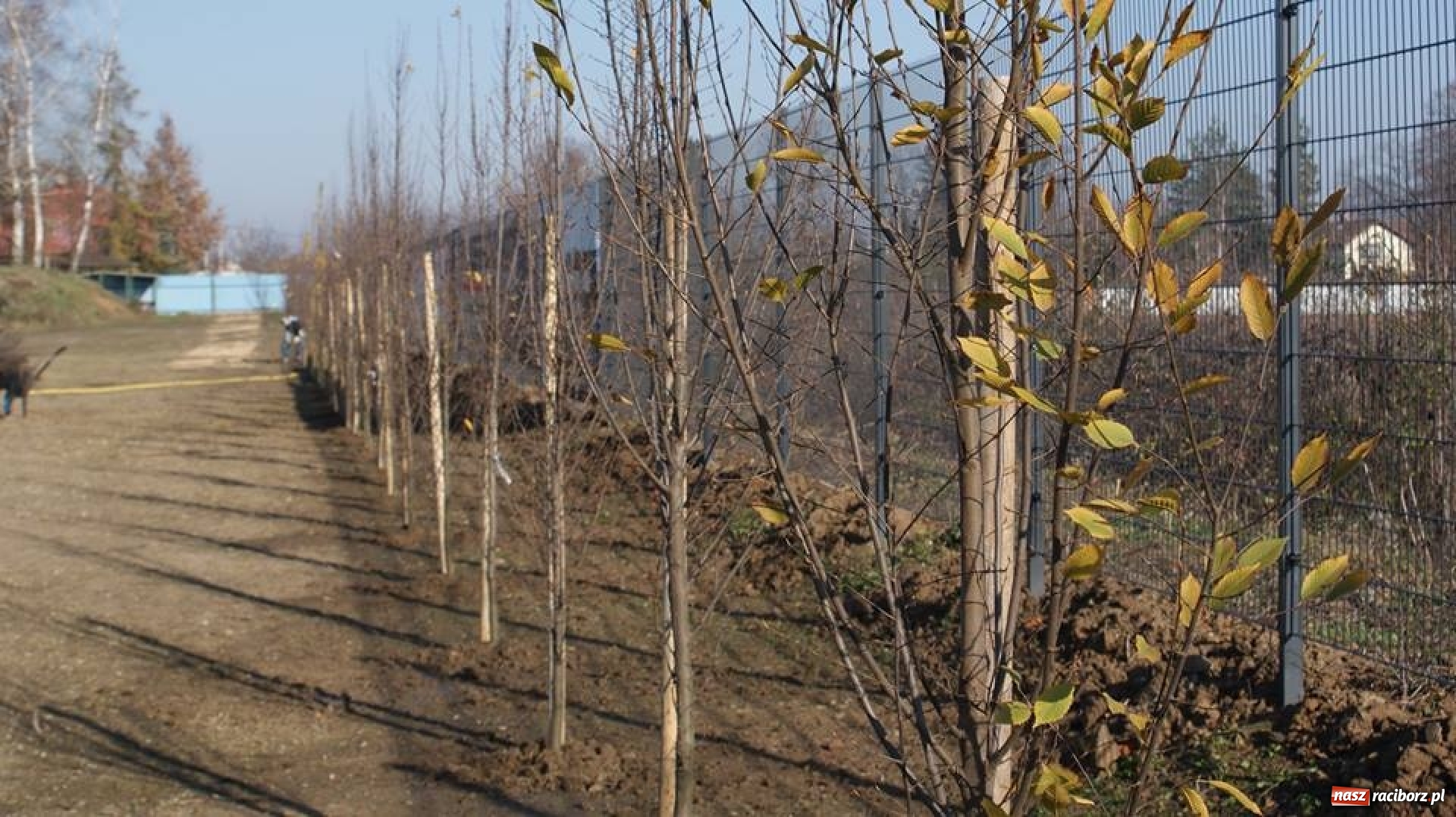 Zdjęcie w galerii na portalu naszraciborz.pl: Raciborska Unia przyjazna środowisku wiadomości z regionu