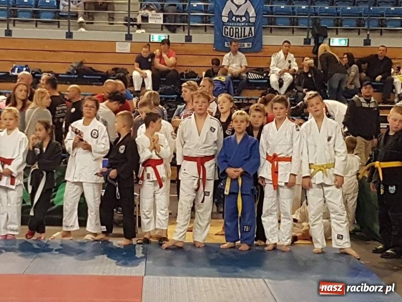 Zdjęcie w galerii na portalu naszraciborz.pl: Ogólnopolska liga dzieci i młodzieży w ju-jitsu sportowym już w ten weekend w Kuźni wiadomości z regionu