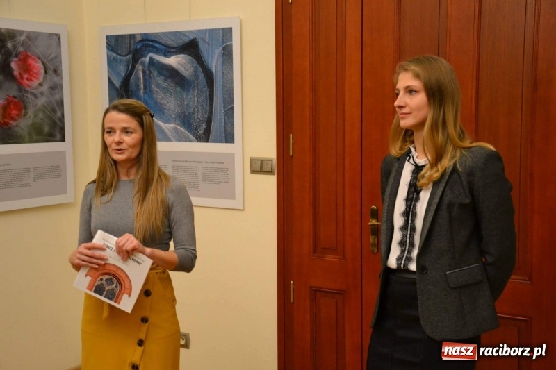 Zdjęcie w galerii na portalu naszraciborz.pl: Zobacz Znaj Zachowaj - raciborska konferencja dedykowana zabytkom za nami  wiadomości z regionu