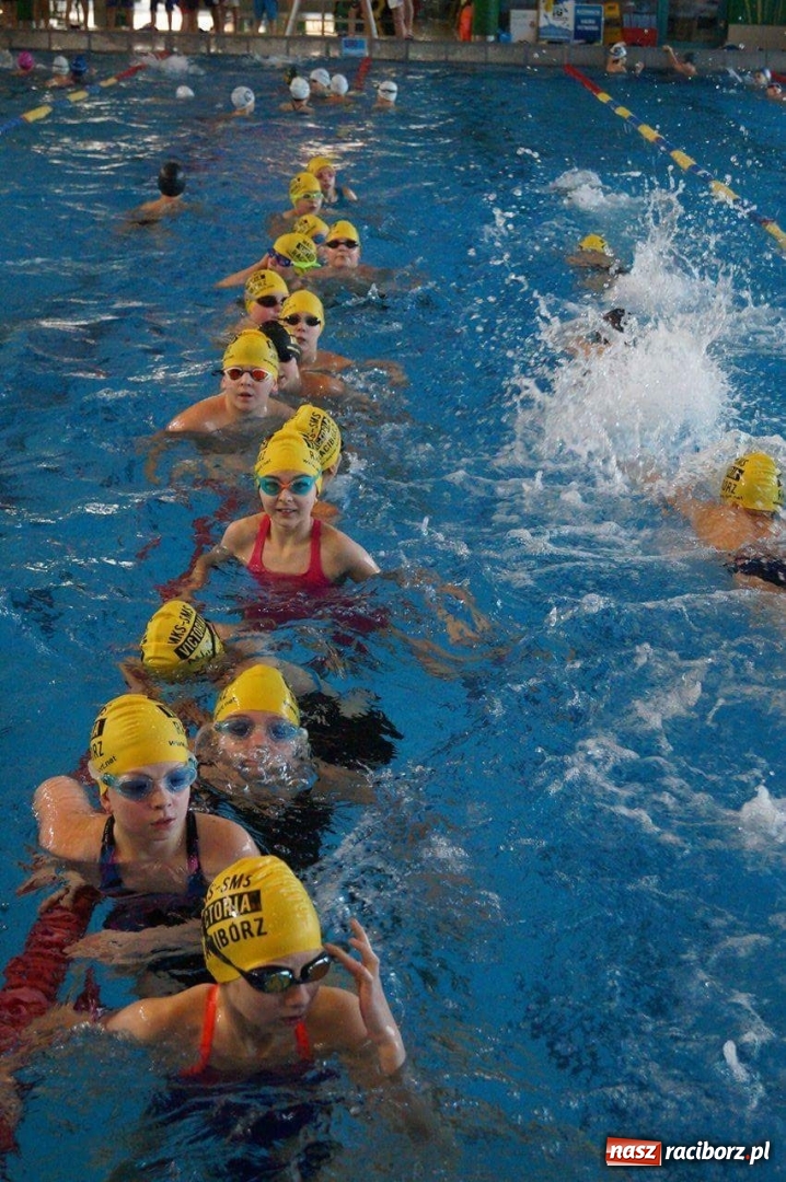 Zdjęcie w galerii na portalu naszraciborz.pl: Uczniowie SP 15 na Śląskiej Lidze Klubów dzieci 12-letnich wiadomości z regionu