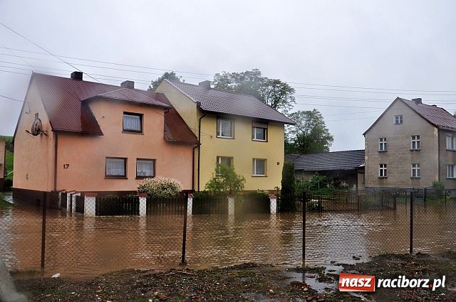 Zdjęcie w galerii na portalu naszraciborz.pl: Owsiszcze: powtórka z niedzieli wiadomości z regionu