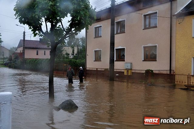 Zdjęcie w galerii na portalu naszraciborz.pl: Owsiszcze: powtórka z niedzieli wiadomości z regionu
