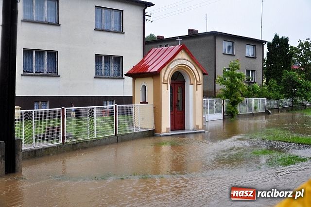 Zdjęcie w galerii na portalu naszraciborz.pl: Owsiszcze: powtórka z niedzieli wiadomości z regionu