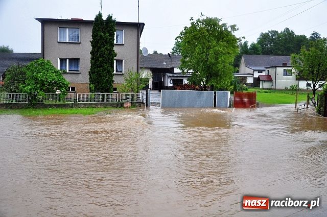 Zdjęcie w galerii na portalu naszraciborz.pl: Owsiszcze: powtórka z niedzieli wiadomości z regionu
