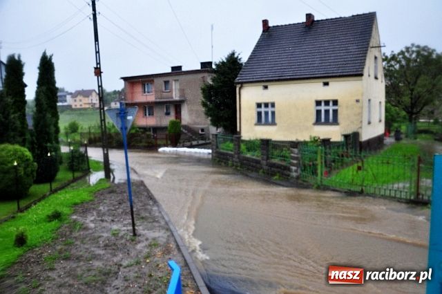 Zdjęcie w galerii na portalu naszraciborz.pl: Owsiszcze: powtórka z niedzieli wiadomości z regionu