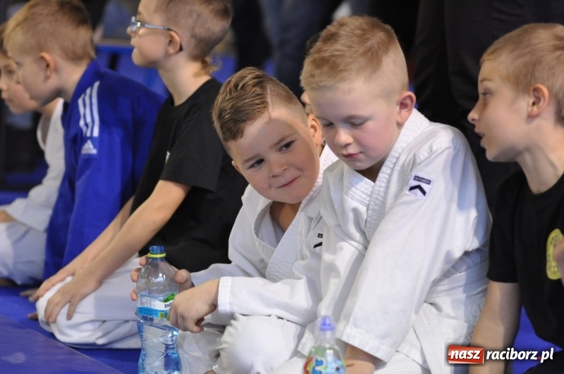 Zdjęcie w galerii na portalu naszraciborz.pl: Ogólnopolska liga dzieci i młodzieży w ju-jitsu na matach w Kuźni Raciborskiej wiadomości z regionu