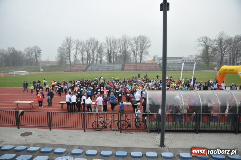 Zdjęcie w galerii na portalu naszraciborz.pl: Blisko trzystu uczestników Biegu dla Ani FOTO i WIDEO wiadomości z regionu