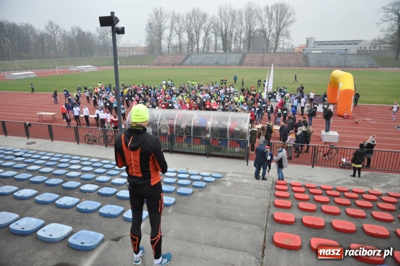 Zdjęcie w galerii na portalu naszraciborz.pl: Blisko trzystu uczestników Biegu dla Ani FOTO i WIDEO wiadomości z regionu