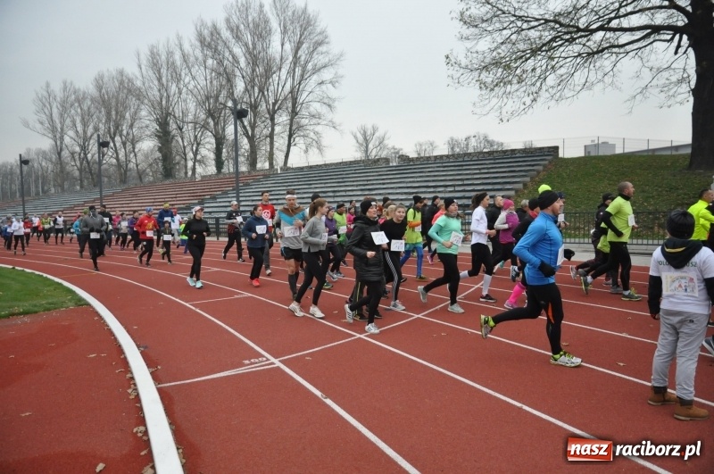 Zdjęcie w galerii na portalu naszraciborz.pl: Blisko trzystu uczestników Biegu dla Ani FOTO i WIDEO wiadomości z regionu