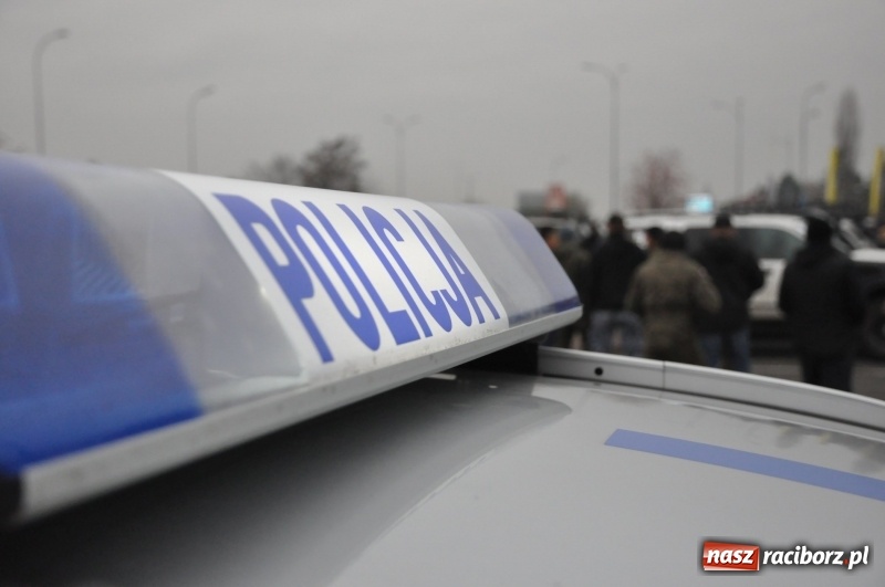 Zdjęcie w galerii na portalu naszraciborz.pl: Czwarta Raciborska Włóczęga z SRC 4x4 FOTO i WIDEO wiadomości z regionu