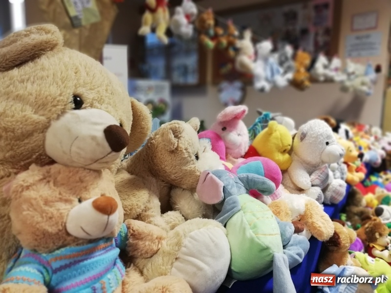 Zdjęcie w galerii na portalu naszraciborz.pl: Dzień Pluszowego Misia w Tworkowie  wiadomości z regionu