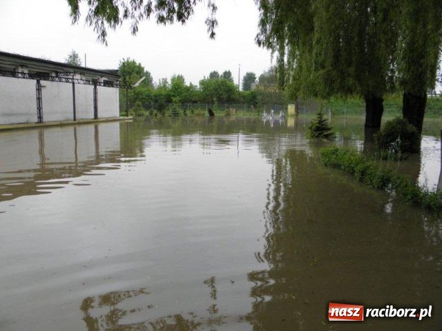 Zdjęcie w galerii na portalu naszraciborz.pl: Staltech drugi raz zalany wiadomości z regionu
