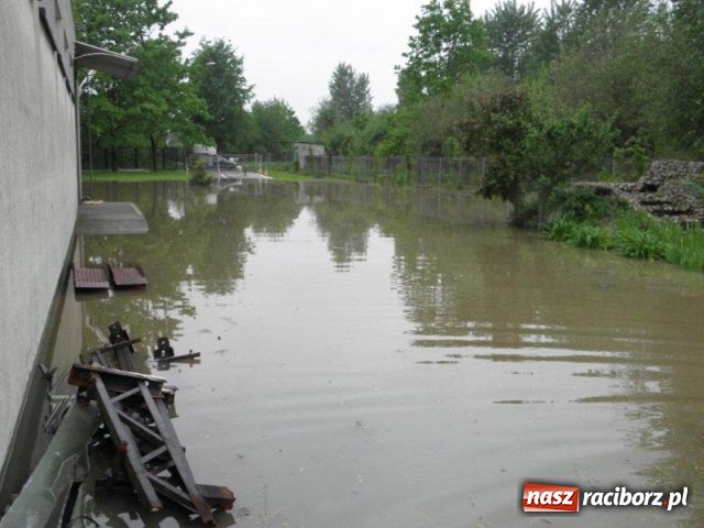 Zdjęcie w galerii na portalu naszraciborz.pl: Staltech drugi raz zalany wiadomości z regionu
