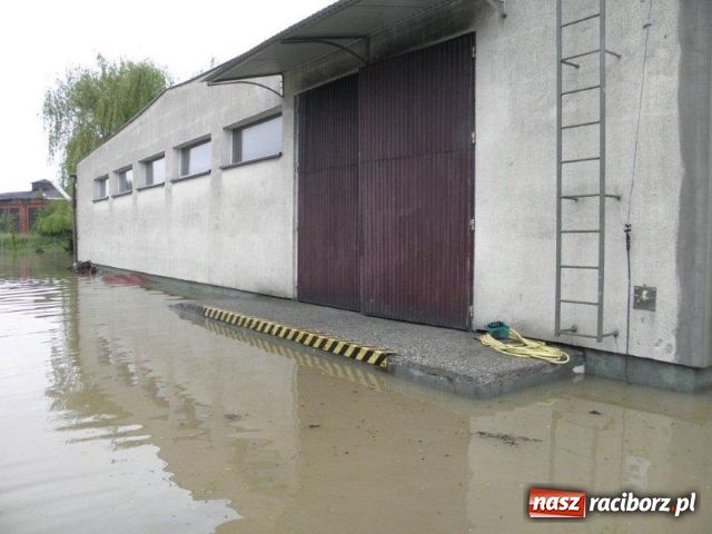 Zdjęcie w galerii na portalu naszraciborz.pl: Staltech drugi raz zalany wiadomości z regionu