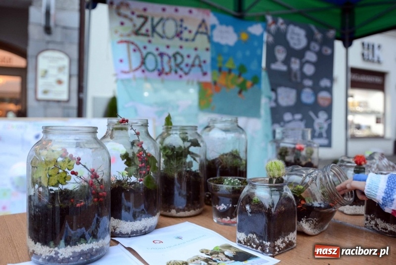 Zdjęcie w galerii na portalu naszraciborz.pl: Tydzień Edukacji Globalnej w Raciborzu  wiadomości z regionu