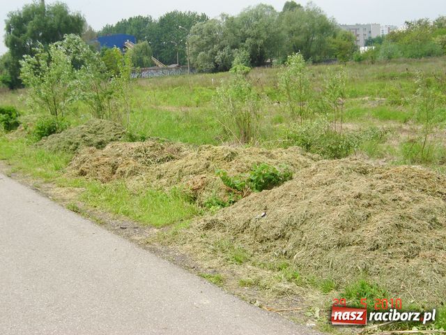 Zdjęcie w galerii na portalu naszraciborz.pl: Na Ostrogu powstała kompostownia? wiadomości z regionu