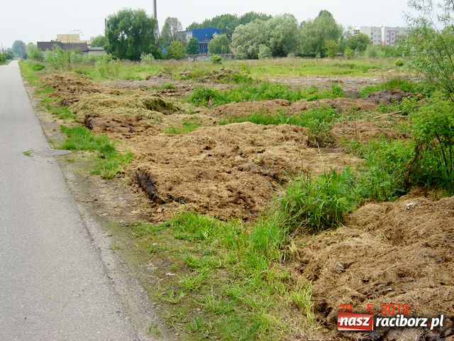 Zdjęcie w galerii na portalu naszraciborz.pl: Na Ostrogu powstała kompostownia? wiadomości z regionu