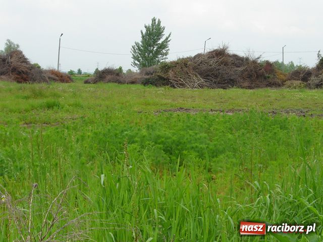 Zdjęcie w galerii na portalu naszraciborz.pl: Na Ostrogu powstała kompostownia? wiadomości z regionu