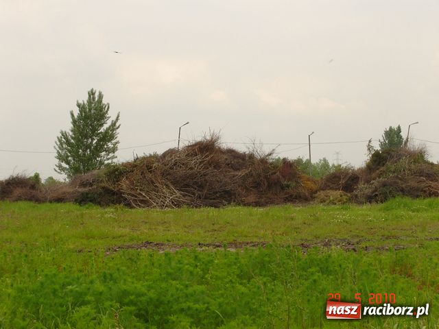 Zdjęcie w galerii na portalu naszraciborz.pl: Na Ostrogu powstała kompostownia? wiadomości z regionu