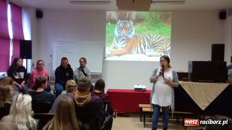 Zdjęcie w galerii na portalu naszraciborz.pl: Zostań Gwiazdą, oswajaj tygrysa! – program profilaktyki zintegrowanej w CKZiU nr 1 wiadomości z regionu