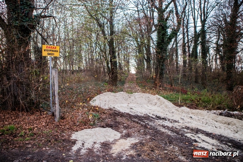 Zdjęcie w galerii na portalu naszraciborz.pl: BBC w Raciborzu. Szukali śladów kultury żydowskiej. Zobaczyli bałagan po budowlańcach  wiadomości z regionu