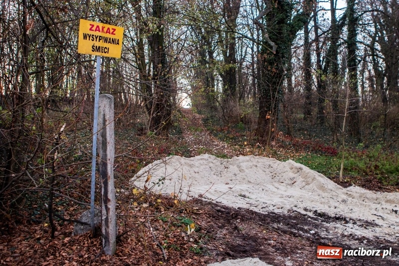 Zdjęcie w galerii na portalu naszraciborz.pl: BBC w Raciborzu. Szukali śladów kultury żydowskiej. Zobaczyli bałagan po budowlańcach  wiadomości z regionu