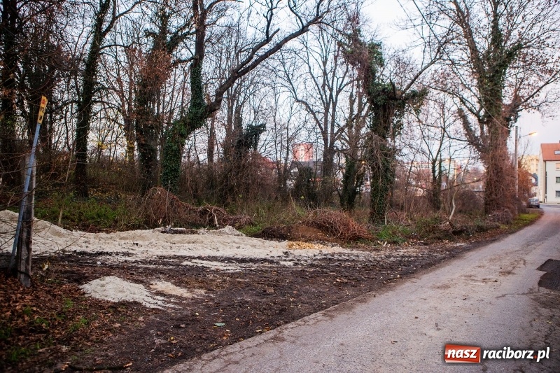 Zdjęcie w galerii na portalu naszraciborz.pl: BBC w Raciborzu. Szukali śladów kultury żydowskiej. Zobaczyli bałagan po budowlańcach  wiadomości z regionu
