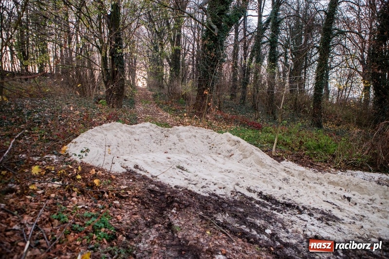 Zdjęcie w galerii na portalu naszraciborz.pl: BBC w Raciborzu. Szukali śladów kultury żydowskiej. Zobaczyli bałagan po budowlańcach  wiadomości z regionu