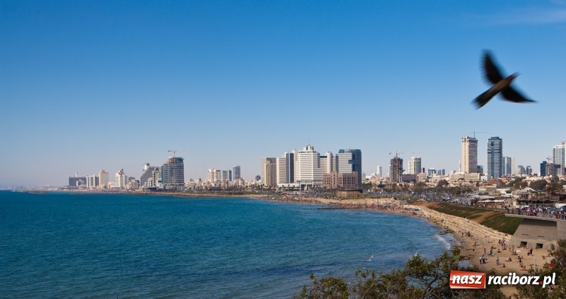 Zdjęcie w galerii na portalu naszraciborz.pl: Z Raciborza do Ziemi Świętej – wyjątkowa pielgrzymka w czasie ferii zimowych!  wiadomości z regionu