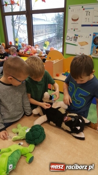 Zdjęcie w galerii na portalu naszraciborz.pl: Klub Zdrowego Przedszkolaka, czyli szkolenia dla koordynatorów przedszkolnych w raciborskim Sanepidzie wiadomości z regionu