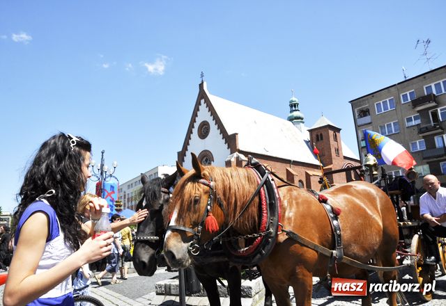 Zdjęcie w galerii na portalu naszraciborz.pl: Coolturalny Racibórz - przyjdź na Rynek wiadomości z regionu