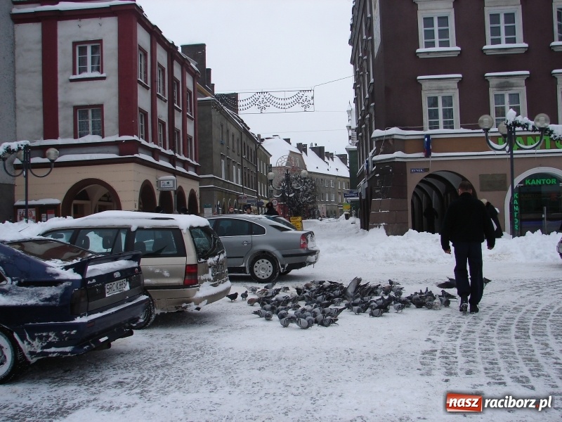 Zdjęcie w galerii na portalu naszraciborz.pl: Od dziś mamy meteorologiczną zimę. Temperatura sięgnęła -10 st. C wiadomości z regionu