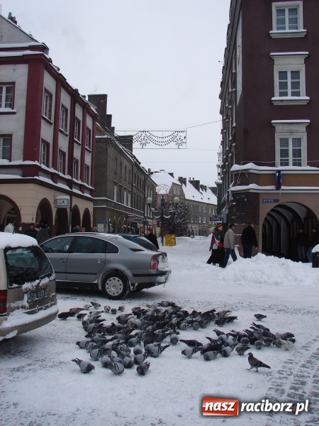 Zdjęcie w galerii na portalu naszraciborz.pl: Od dziś mamy meteorologiczną zimę. Temperatura sięgnęła -10 st. C wiadomości z regionu