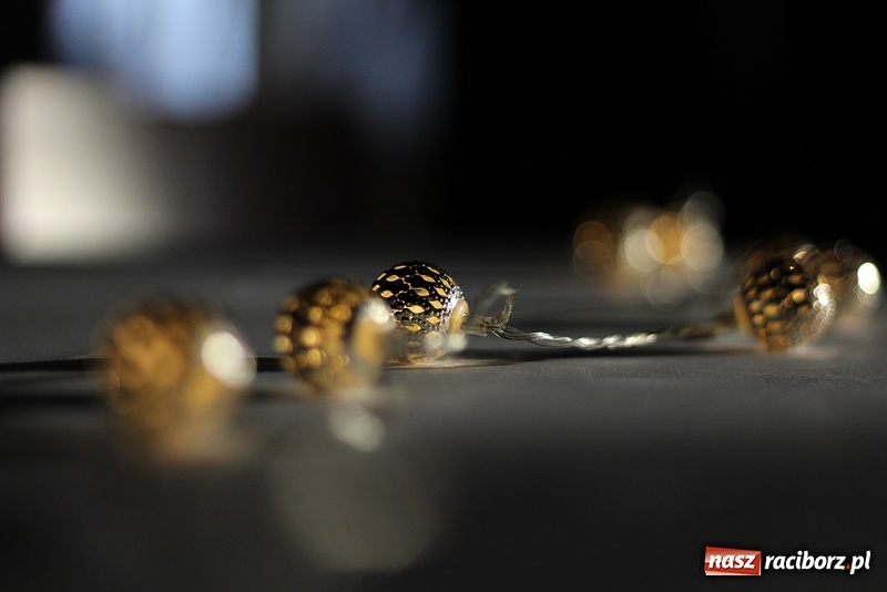 Zdjęcie w galerii na portalu naszraciborz.pl: Śladami poezji, czyli wieczorek poetycki u Kasprowicza wiadomości z regionu