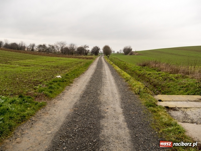 Zdjęcie w galerii na portalu naszraciborz.pl: Polówka, księżycówka i rondo przy Mechaniku. Prezydent szuka pomysłu jak usprawnić ruch w Raciborzu wiadomości z regionu