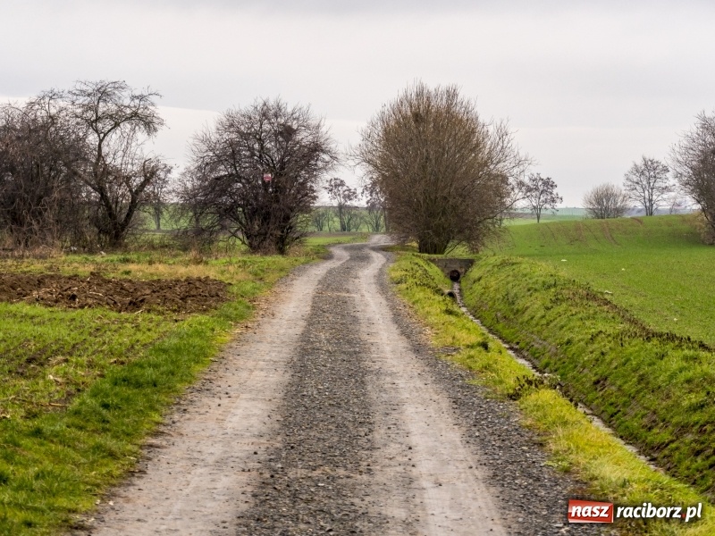 Zdjęcie w galerii na portalu naszraciborz.pl: Polówka, księżycówka i rondo przy Mechaniku. Prezydent szuka pomysłu jak usprawnić ruch w Raciborzu wiadomości z regionu