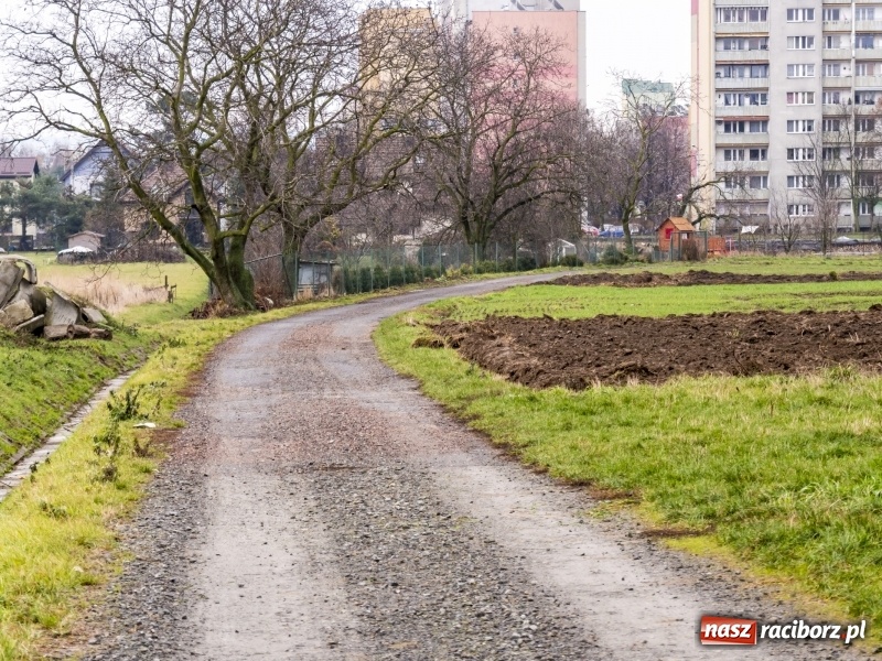 Zdjęcie w galerii na portalu naszraciborz.pl: Polówka, księżycówka i rondo przy Mechaniku. Prezydent szuka pomysłu jak usprawnić ruch w Raciborzu wiadomości z regionu