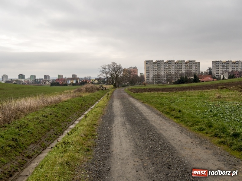 Zdjęcie w galerii na portalu naszraciborz.pl: Polówka, księżycówka i rondo przy Mechaniku. Prezydent szuka pomysłu jak usprawnić ruch w Raciborzu wiadomości z regionu
