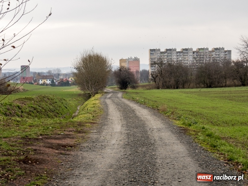 Zdjęcie w galerii na portalu naszraciborz.pl: Polówka, księżycówka i rondo przy Mechaniku. Prezydent szuka pomysłu jak usprawnić ruch w Raciborzu wiadomości z regionu