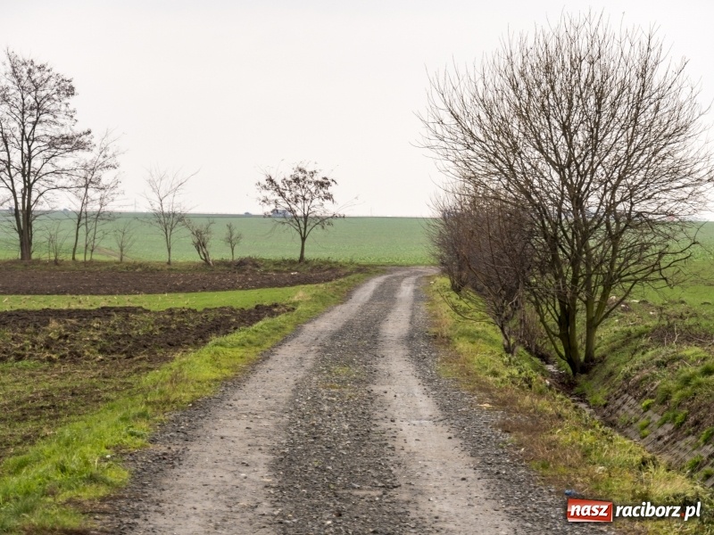 Zdjęcie w galerii na portalu naszraciborz.pl: Polówka, księżycówka i rondo przy Mechaniku. Prezydent szuka pomysłu jak usprawnić ruch w Raciborzu wiadomości z regionu