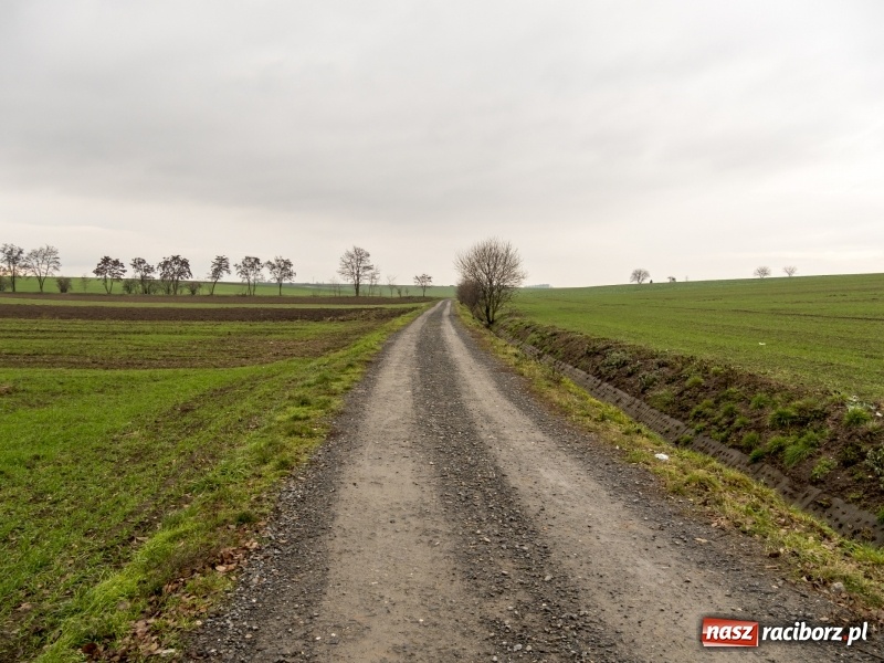 Zdjęcie w galerii na portalu naszraciborz.pl: Polówka, księżycówka i rondo przy Mechaniku. Prezydent szuka pomysłu jak usprawnić ruch w Raciborzu wiadomości z regionu