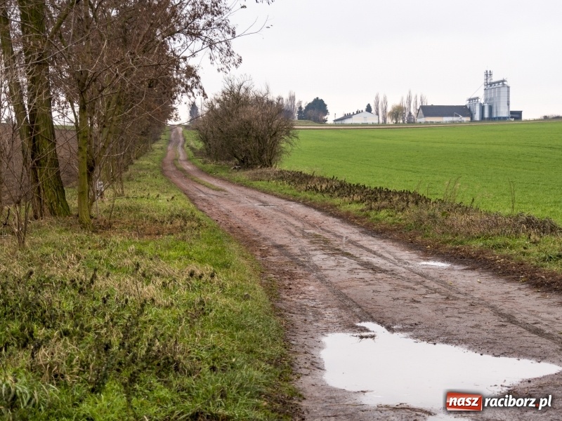 Zdjęcie w galerii na portalu naszraciborz.pl: Polówka, księżycówka i rondo przy Mechaniku. Prezydent szuka pomysłu jak usprawnić ruch w Raciborzu wiadomości z regionu