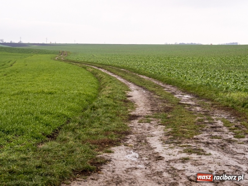 Zdjęcie w galerii na portalu naszraciborz.pl: Polówka, księżycówka i rondo przy Mechaniku. Prezydent szuka pomysłu jak usprawnić ruch w Raciborzu wiadomości z regionu