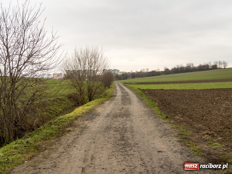 Zdjęcie w galerii na portalu naszraciborz.pl: Polówka, księżycówka i rondo przy Mechaniku. Prezydent szuka pomysłu jak usprawnić ruch w Raciborzu wiadomości z regionu